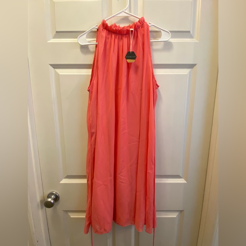 Pinkblush Maternity Dress